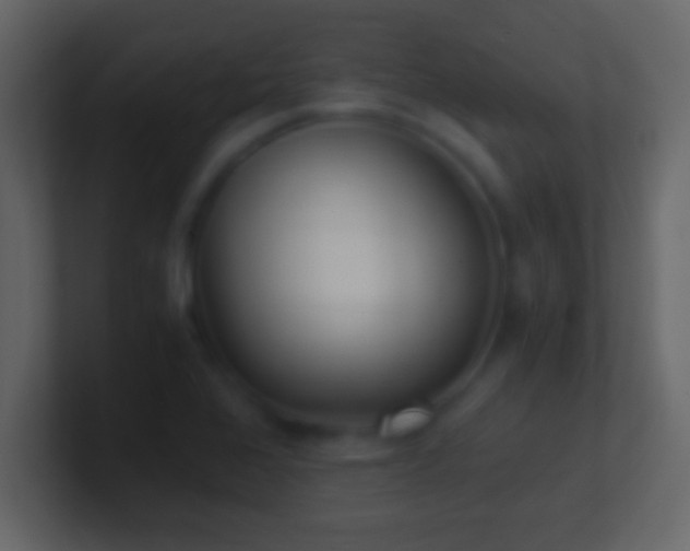 X0000101441368200807071354