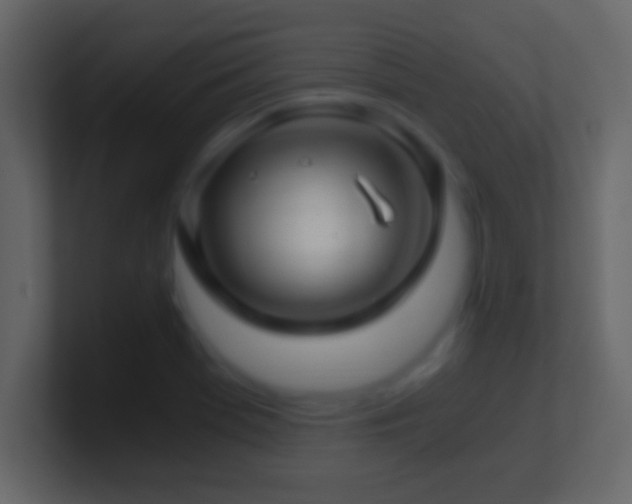 X0000101441369200807071354