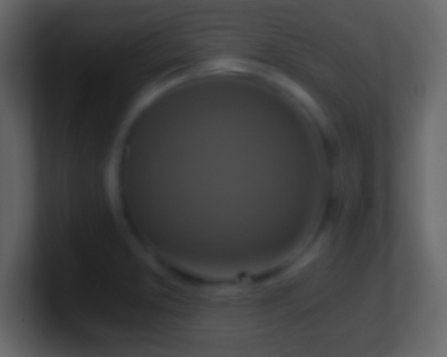 X0000101441373200807071354