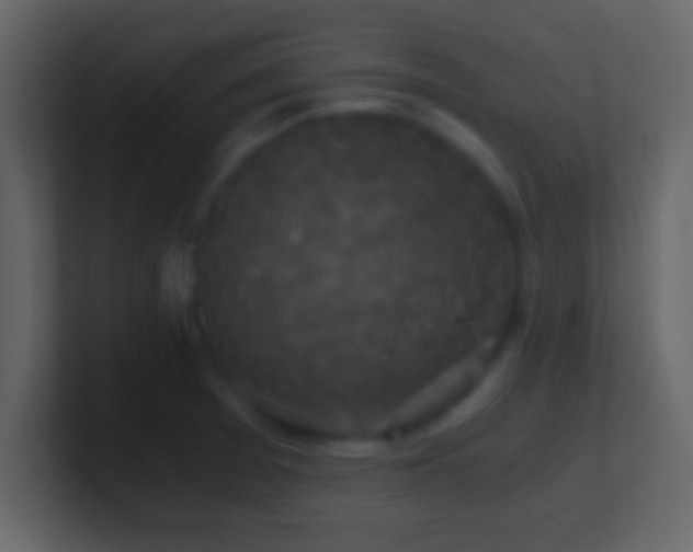 X0000101441377200807071354