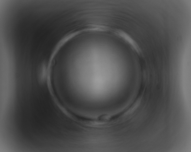 X0000101441379200807071353