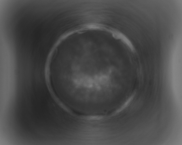 X0000101441381200807071353