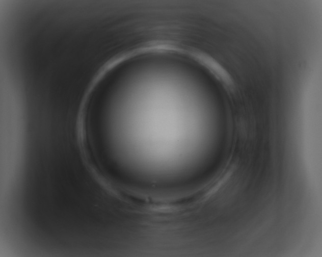 X0000101441382200807071353
