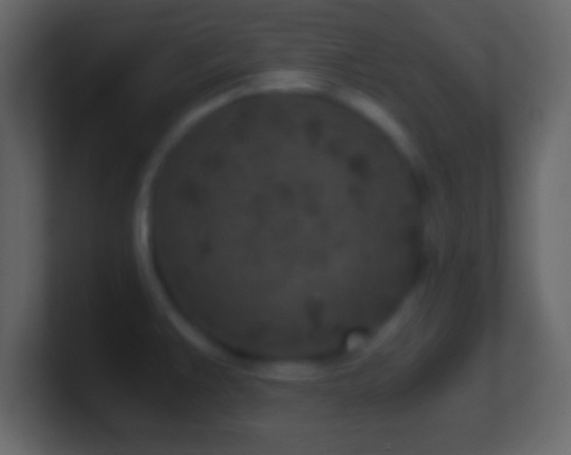 X0000101441383200807071353