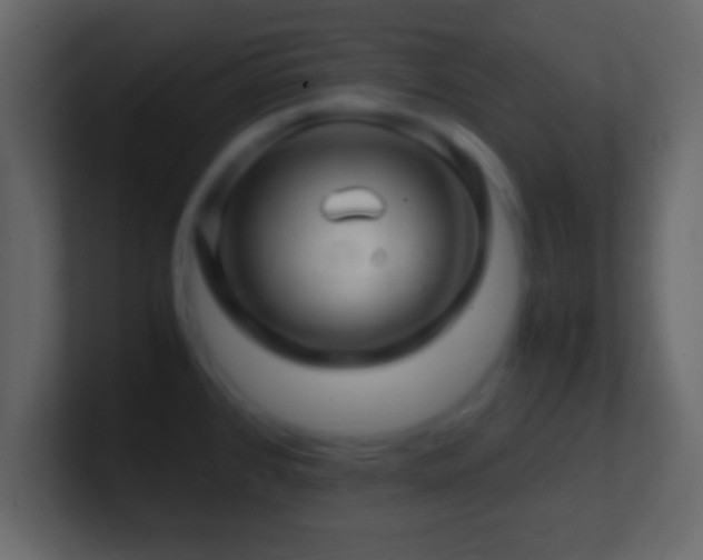 X0000101441384200807071353