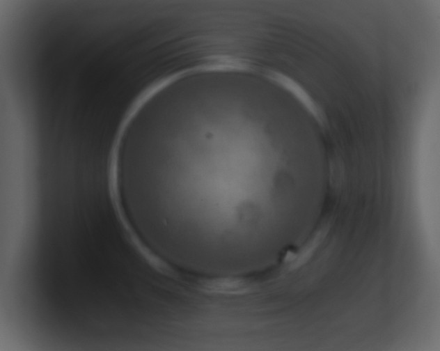 X0000101441387200807071353