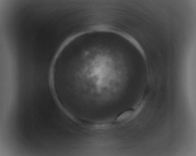 X0000101441389200807071353