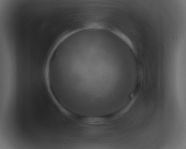 X0000101441391200807071353
