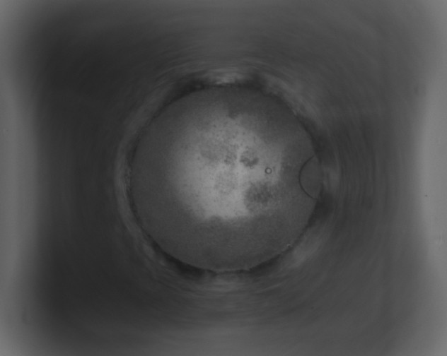 X0000101441393200807071353
