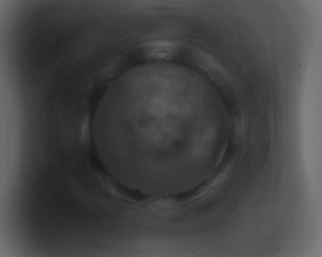 X0000101441394200807071353