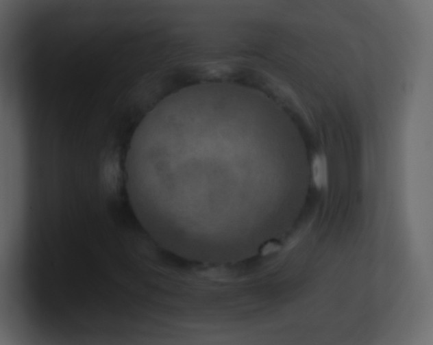 X0000101441395200807071353