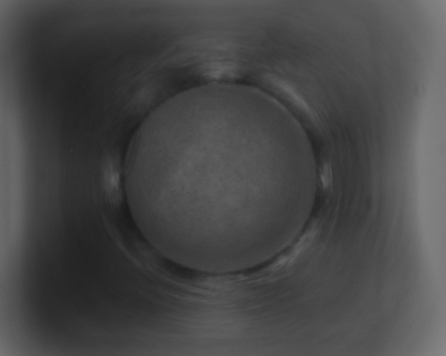 X0000101441396200807071353