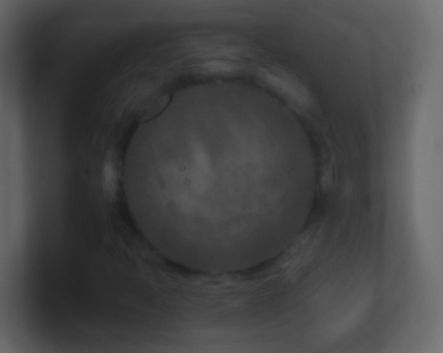 X0000101441397200807071353
