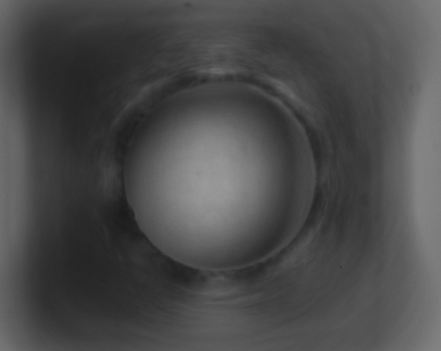 X0000101441398200807071353
