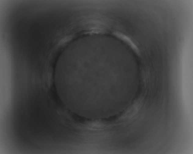 X0000101441399200807071353