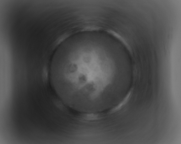 X0000101441401200807071353