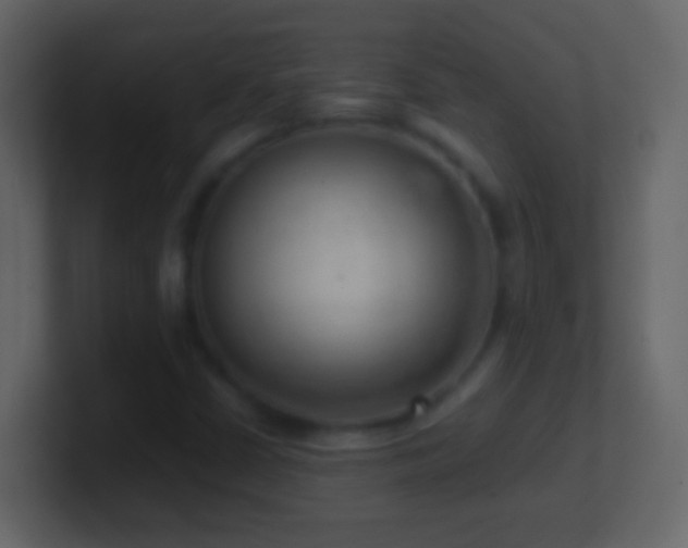 X0000101441402200807071353