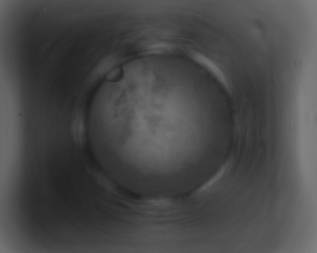 X0000101441403200807071353
