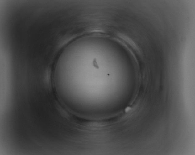 X0000101441404200807071353