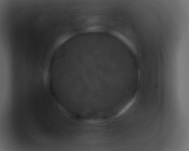 X0000101441405200807071353