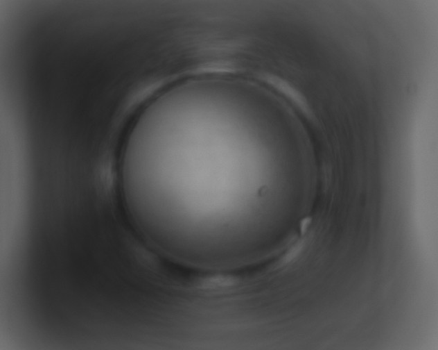 X0000101441406200807071353