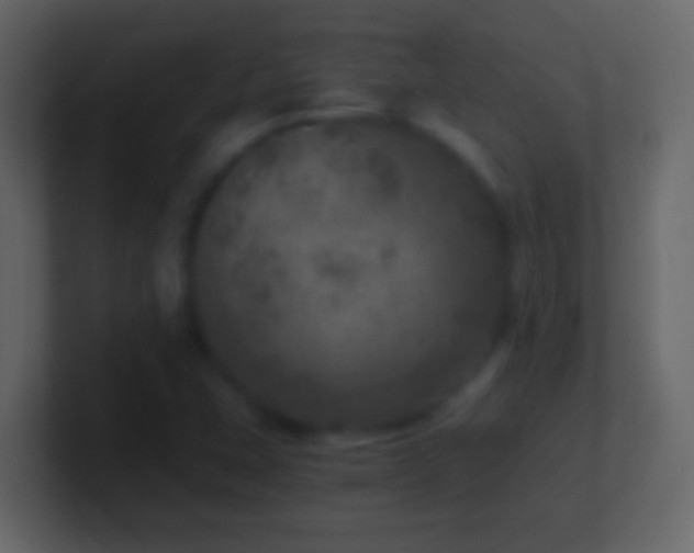 X0000101441407200807071353