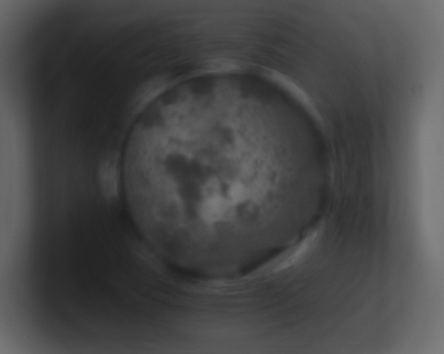 X0000101441409200807071353