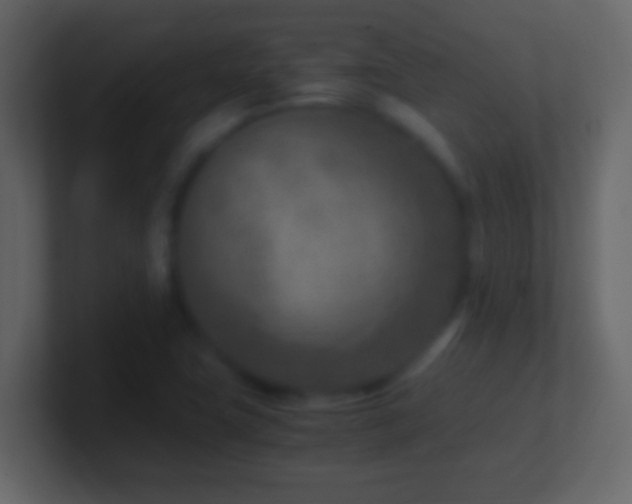 X0000101441411200807071353