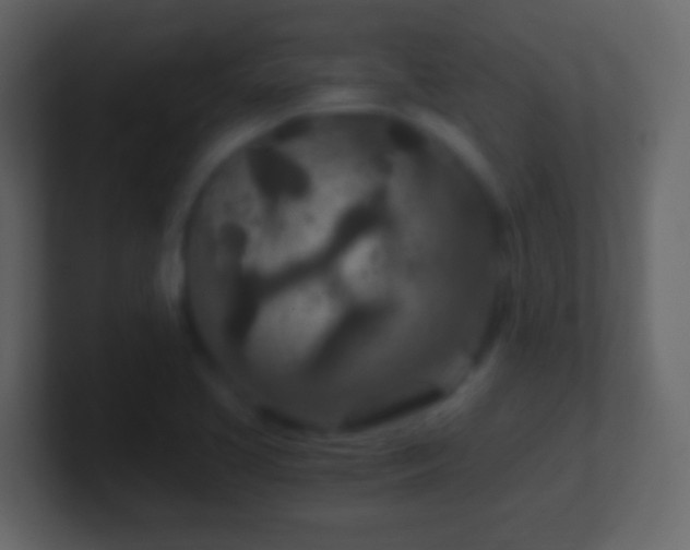 X0000101441413200807071353