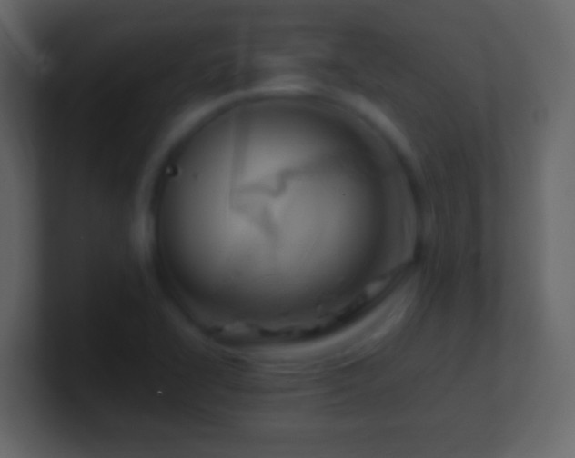 X0000101441414200807071353