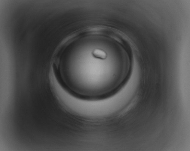 X0000101441417200807071353
