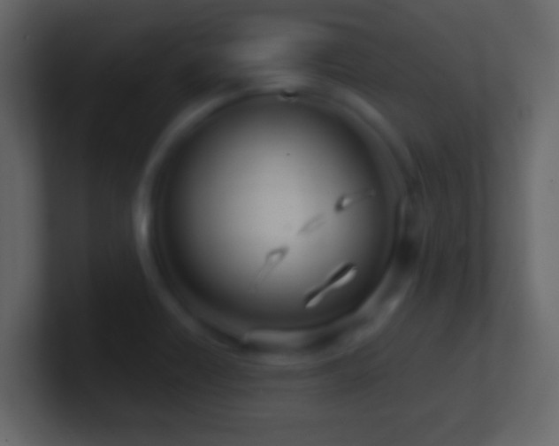 X0000101441418200807071353
