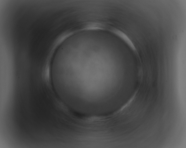 X0000101441419200807071353