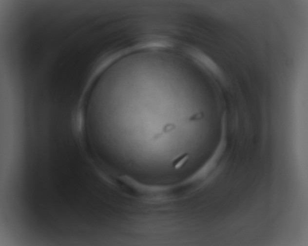 X0000101441420200807071353