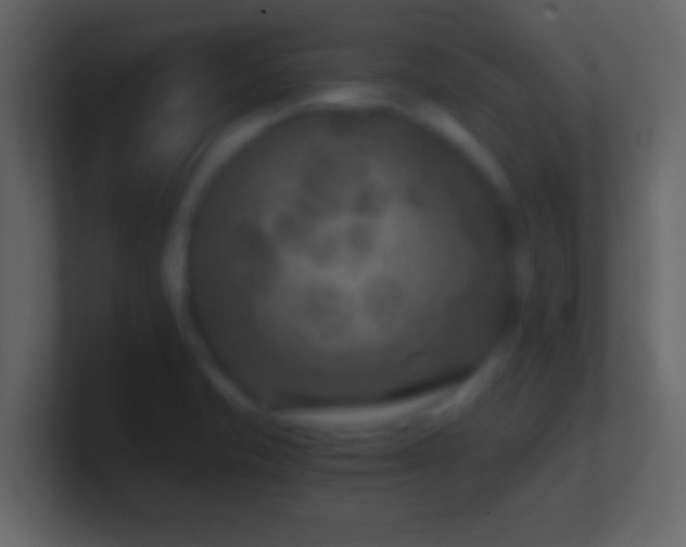X0000101441421200807071353