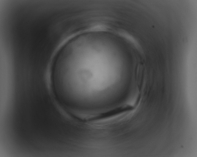 X0000101441422200807071353