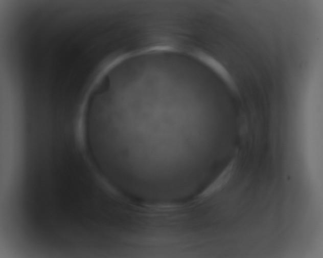 X0000101441423200807071353