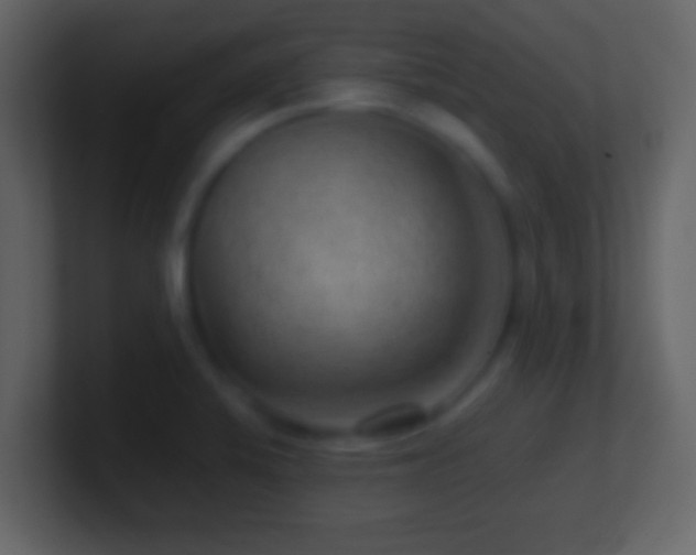 X0000101441424200807071353