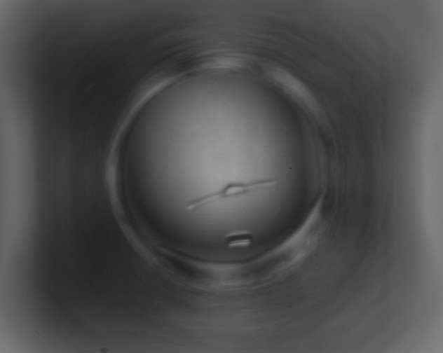 X0000101441426200807071353