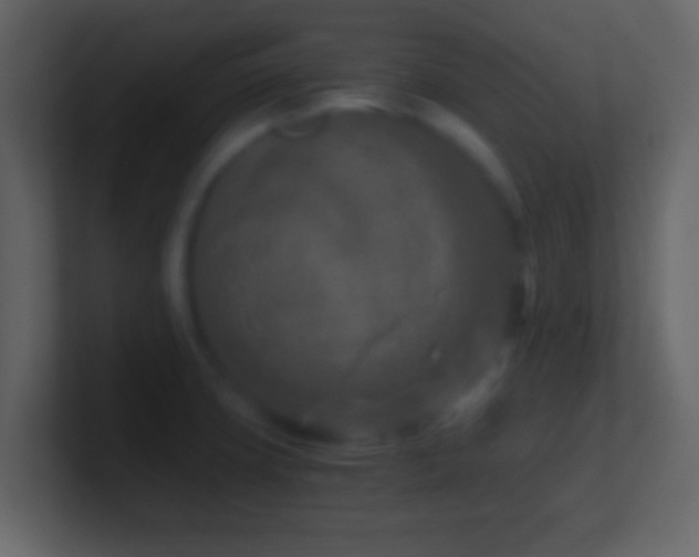 X0000101441427200807071353