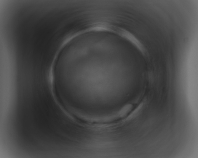 X0000101441428200807071353