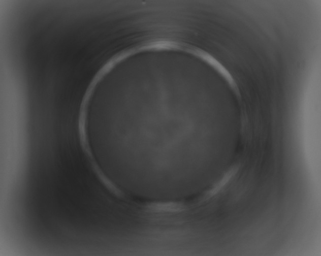 X0000101441429200807071353