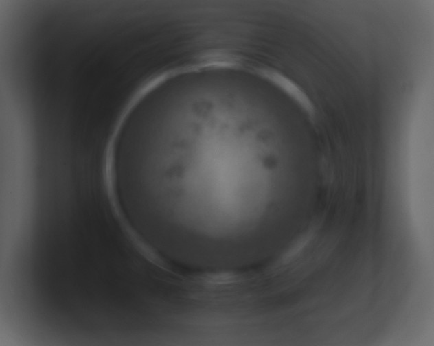 X0000101441431200807071353