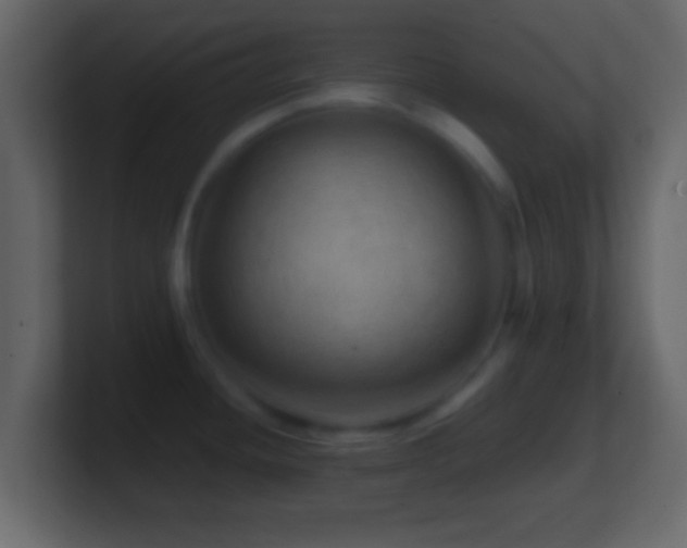 X0000101441436200807071353
