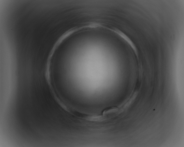 X0000101441437200807071353