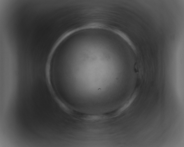 X0000101441438200807071353