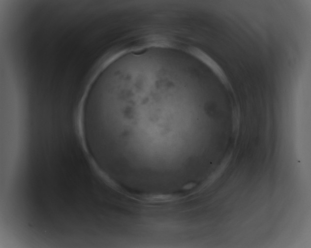 X0000101441439200807071353