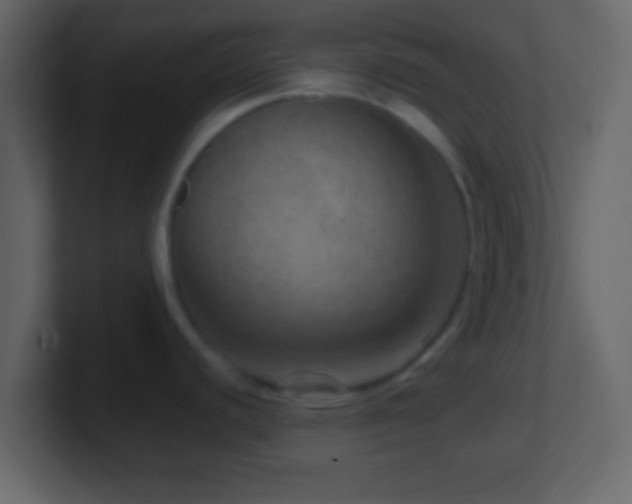X0000101441440200807071353