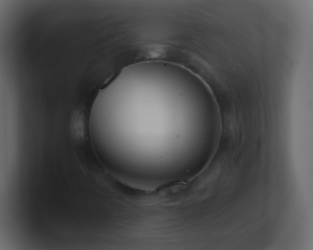 X0000101441442200807071353