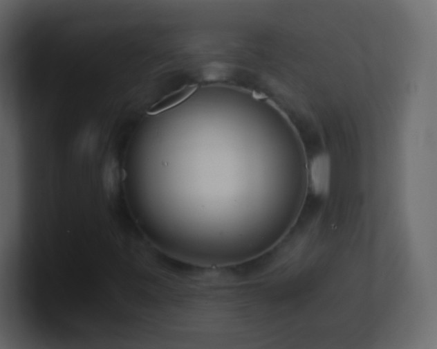 X0000101441443200807071353